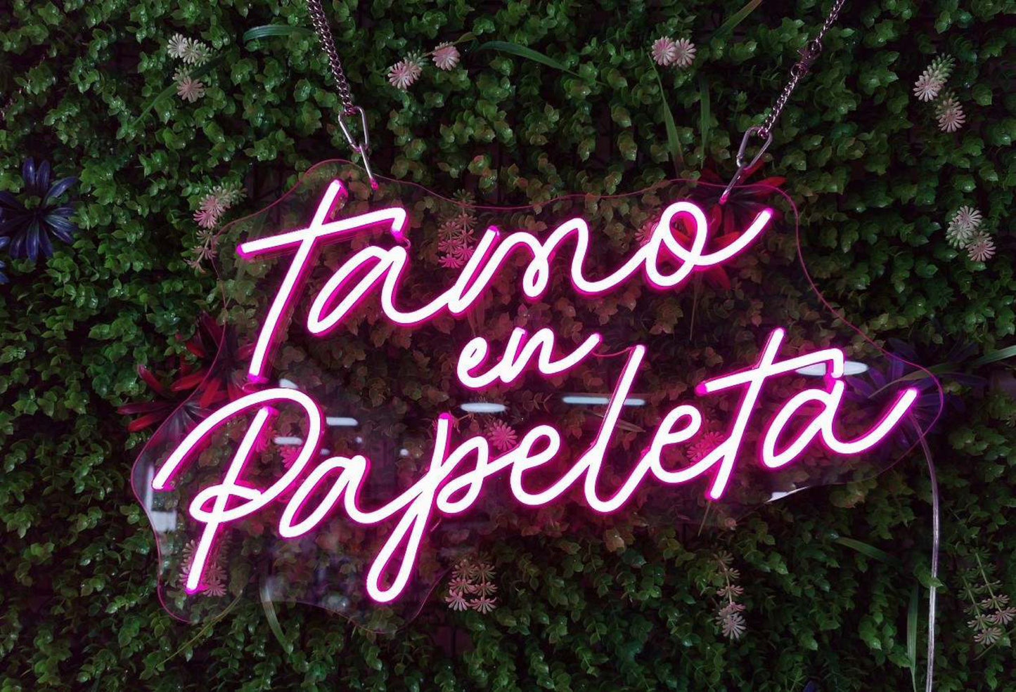 Tamo en Papeleta